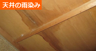 天井の雨染み