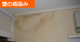 壁の雨染み