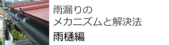 雨漏りのメカニズムと解決方　雨樋編
