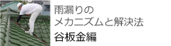 雨漏りのメカニズムと解決方　谷板金編