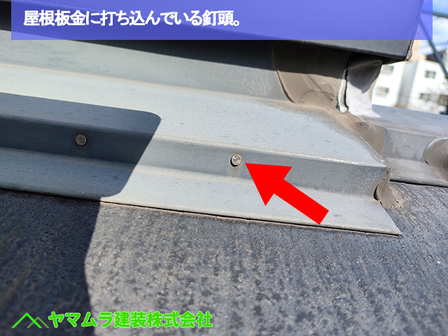 06．名古屋市中区　カバー工法　屋根板金に打ち込んでいる釘頭。