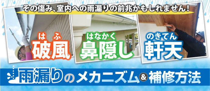 破風、鼻隠しからの雨漏り、軒天への雨漏り原因と修理方法 破風、鼻隠しからの雨漏り、軒天への雨漏り原因と修理方法