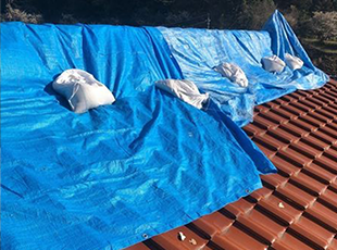 雨養生した屋根