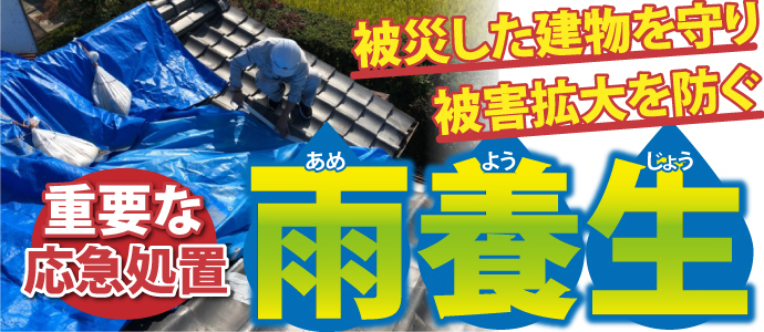 被災した建物を守り被害拡大を防ぐ雨養生