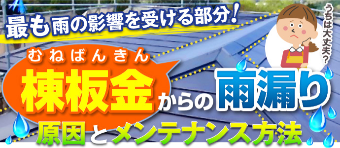 棟板金からの雨漏り
