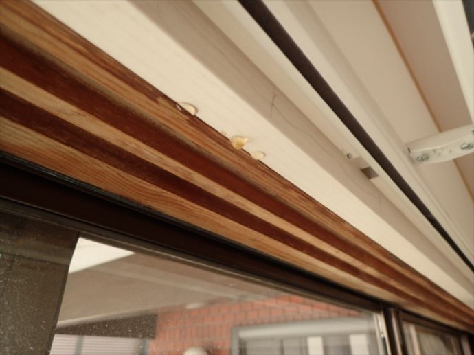 世田谷区の皆さん、雨漏りが起きたら応急処置が大事です！