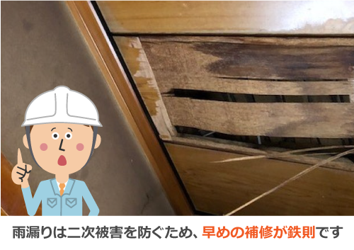 雨漏りは二次被害を防ぐため、早めの補修が鉄則です