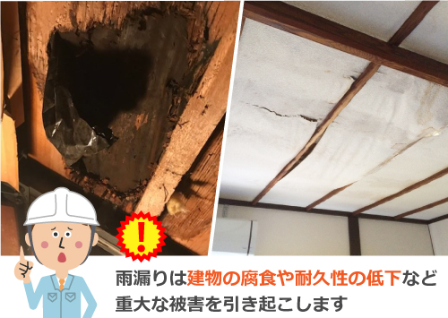 雨漏りで被害を受けた建物の画像
