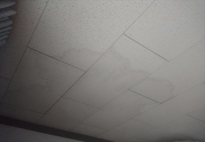 雨漏りによる天井の雨染み
