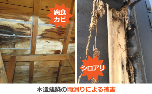 腐食・カビ・シロアリ被害