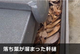 落ち葉が溜まった軒樋