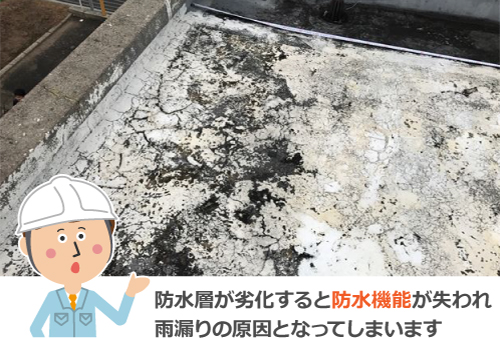 防水層の劣化