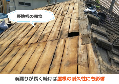 野地板の腐食