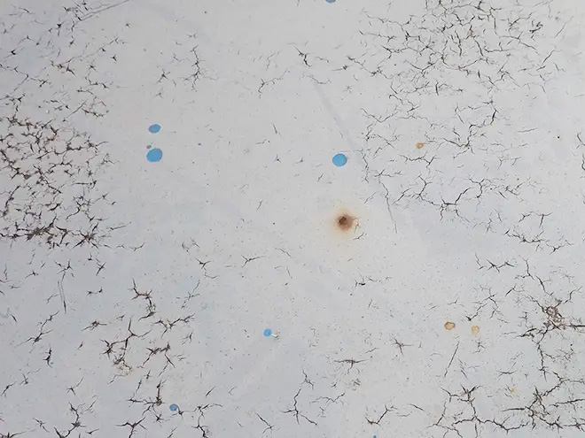 調布市で屋上のウレタン防水メンテナンスを解説