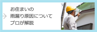 雨漏り原因についてプロが確認