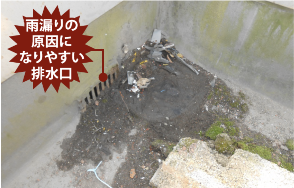 排水溝の詰まり