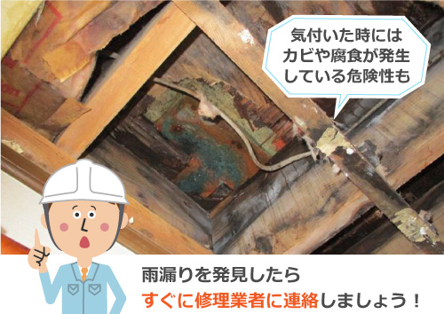 雨漏りでカビや腐食が発生
