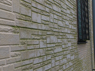 苔の生えた窯業系サイディング