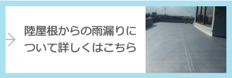陸屋根からの雨漏りについて詳しくはこちら