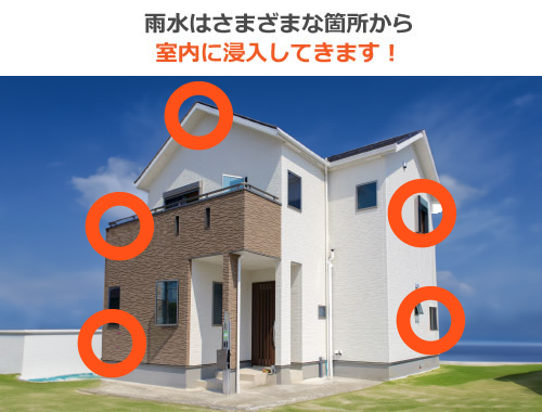 雨水は様々な箇所から室内に浸入してきます