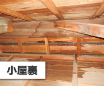 小屋裏調査