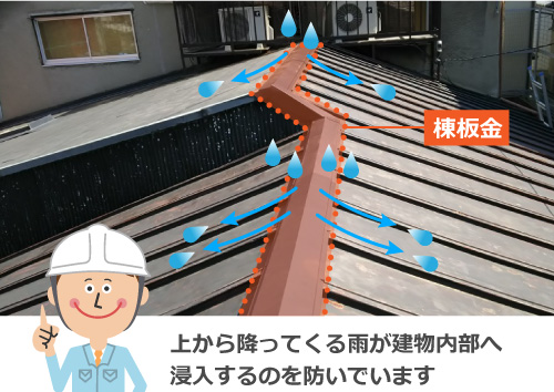 棟板金は雨が建物内部へ浸入するのを防いでいます