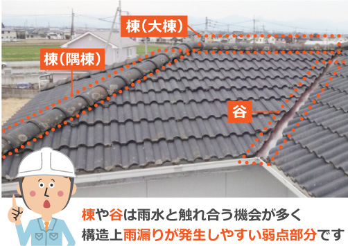 棟や谷は構造上雨漏りが発生しやすい弱点部分です