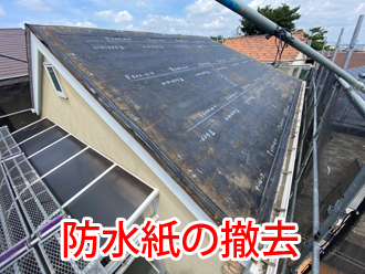 防水紙の撤去