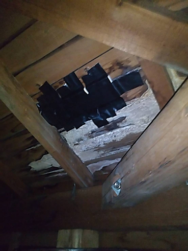 沼津市雨漏り屋根裏