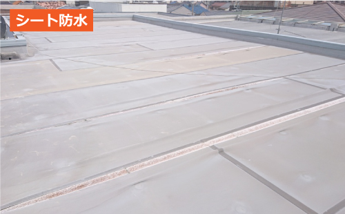 シート防水