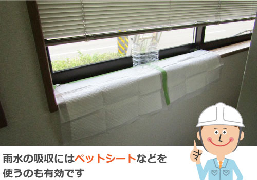 ペットシートなども有効です