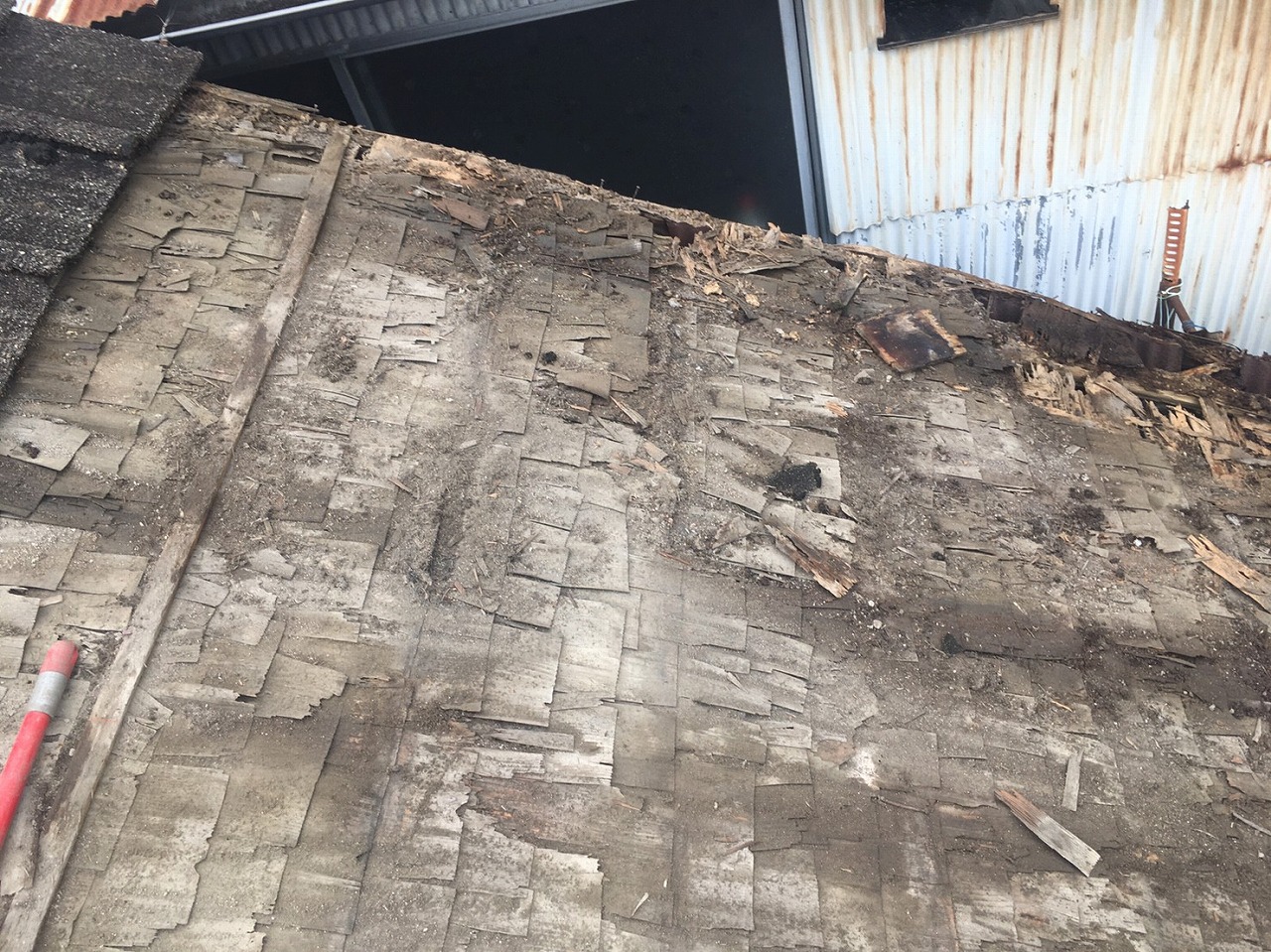 瓦撤去後野地状況