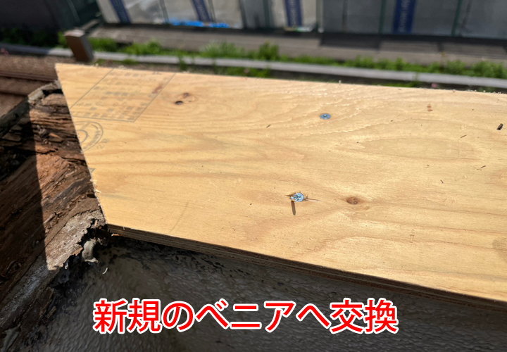 新規のべニアへ交換