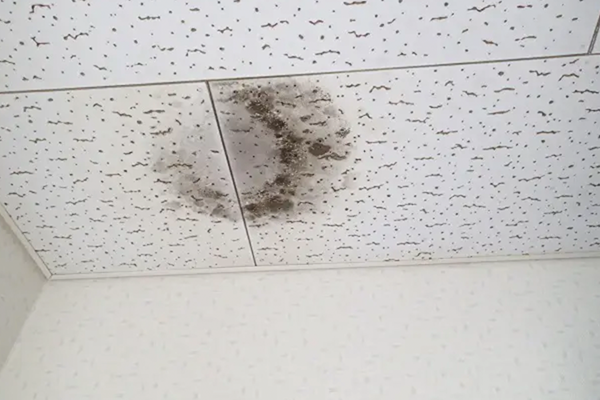 天井のカビ