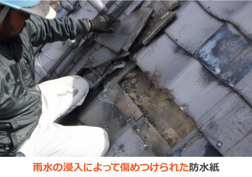 雨水の浸入によって傷めつけられてしまった防水紙 雨水の浸入によって傷めつけられてしまった防水紙