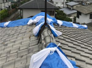 雨漏り箇所をブルーシートで雨養生
