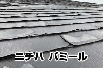 ニチハ「パミール」