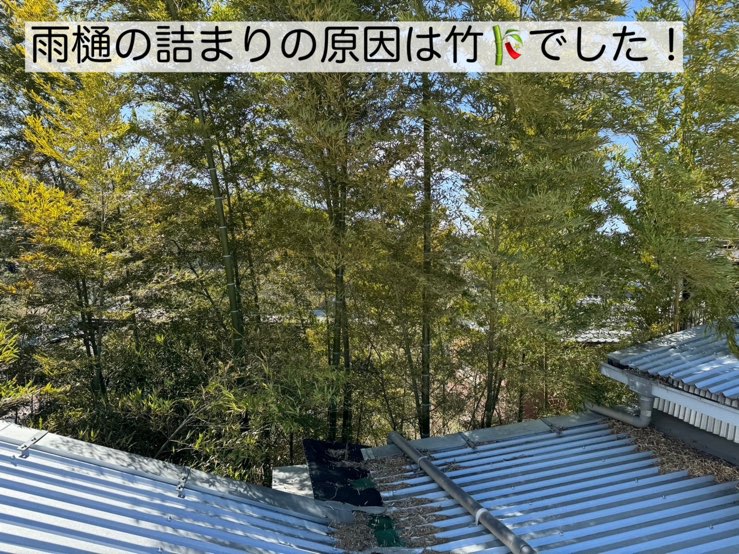 雨漏れの原因となった竹藪