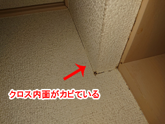 クロス内面がかびている