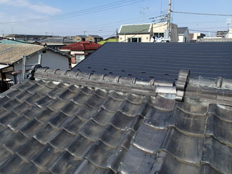 屋根全体の様子