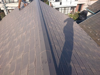 屋根全体の様子