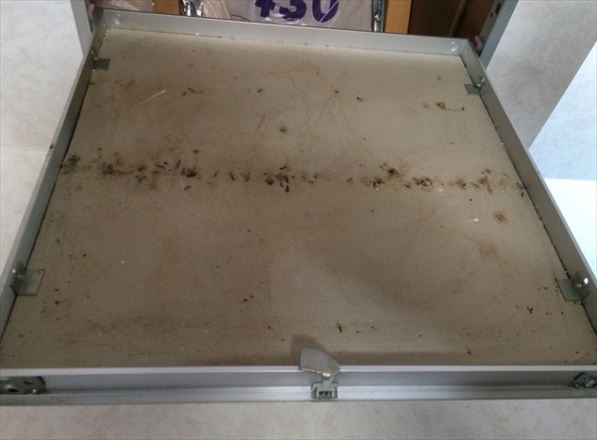 点検口で雨漏り発覚