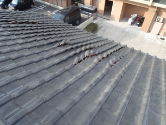 浮いて捲れた瓦