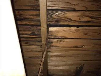 天井裏から見た下地