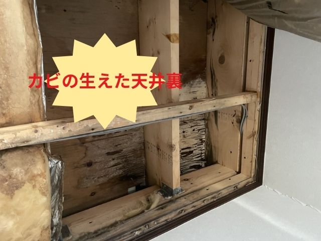 久喜市　雨漏り　内装　カビ　シミ