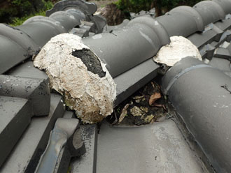 屋根に落ち葉などが溜まっている