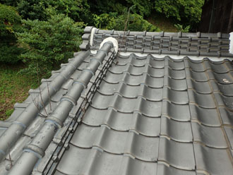 屋根全体の様子