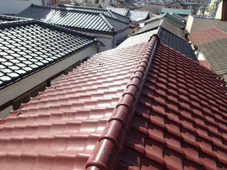 屋根全体の様子