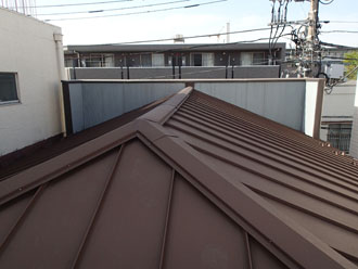 屋根全体の様子
