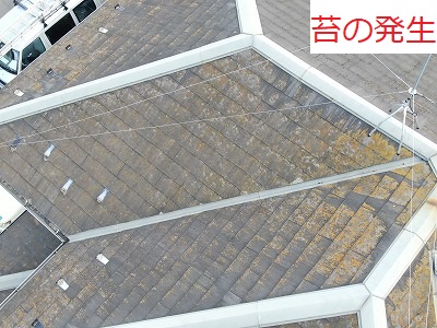 屋根の写真です。瓦の割れ等は見られませんでした。